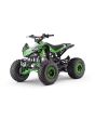 Quad pe benzină pentru copii Beneo Motors ZXT verde - 125cmc