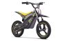 Motocicletă electrică tip mini-cross pentru copii ROOKIE X 24V (14